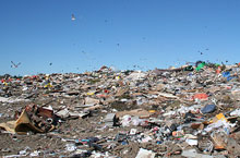 landfill.jpg