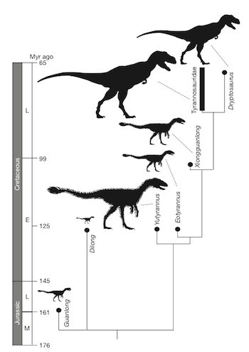 Yutyrannus-tree.jpg