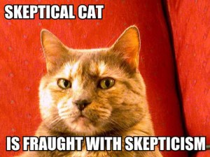 skeptical-cat-is-fraught-with-skepticism-300x225.jpg