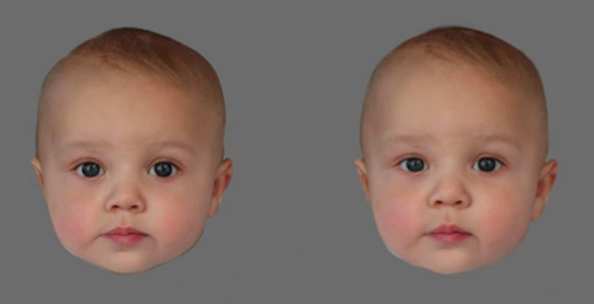 The Women Who Stare at Babies | Discover Magazine The Women Who Stare at Babies | Discover Magazine