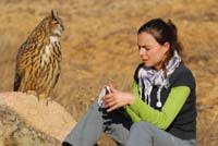 Delgadoowl.jpg