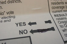 ballot-election.jpg