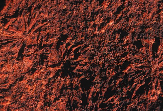 Pilbara Craton salt crystals