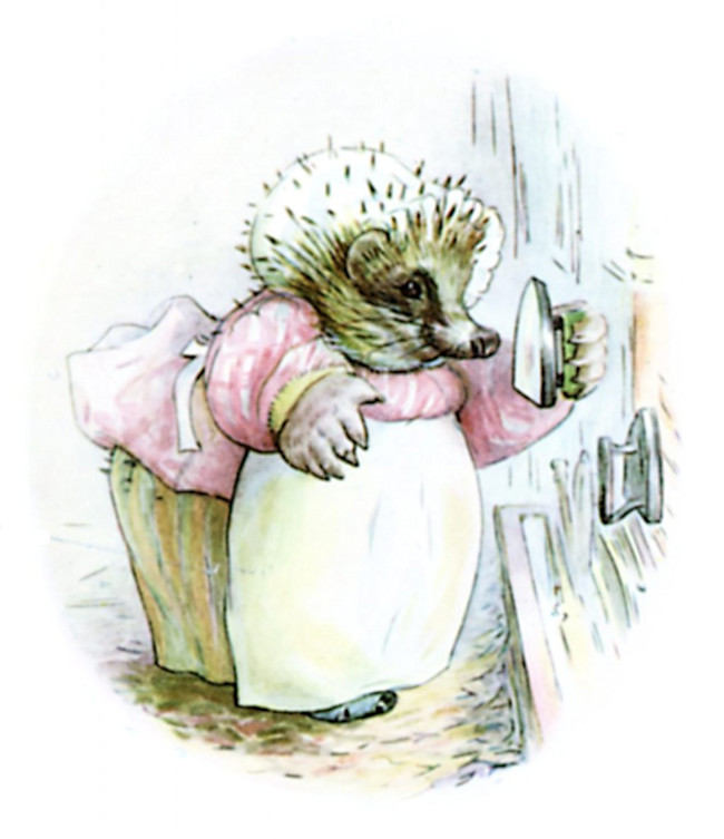 Beatrix_Potter_Mrs_Tiggy-Winkle_Frontispiece-884x1024.jpg