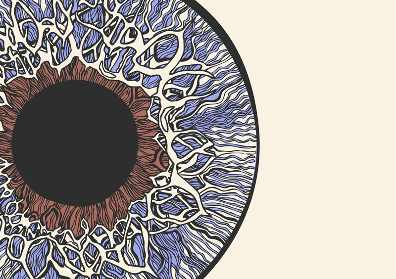 retina.jpg