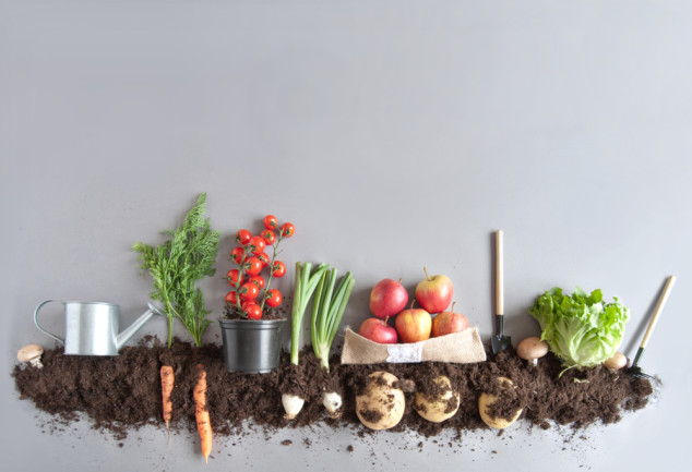 Compost Vegetable Garden - Shutterstock