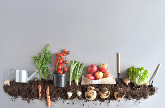 Compost Vegetable Garden - Shutterstock