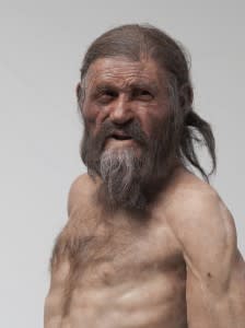 The new reconstruction of the Iceman as presented in the South Tyrolean Archaeology Museum showing the Iceman with brown eyes based on the genetic analysis.