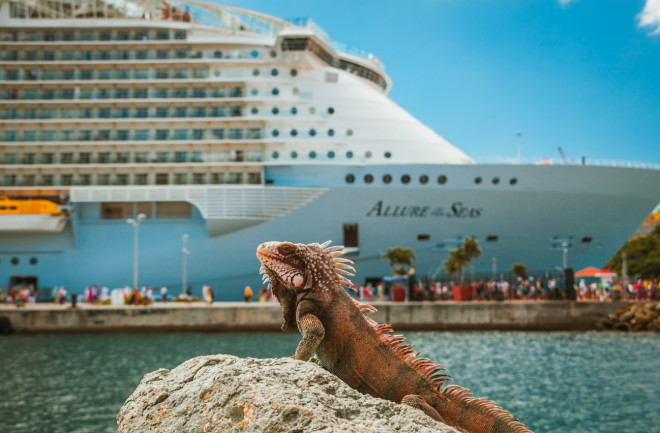 Iguana in front of tourists