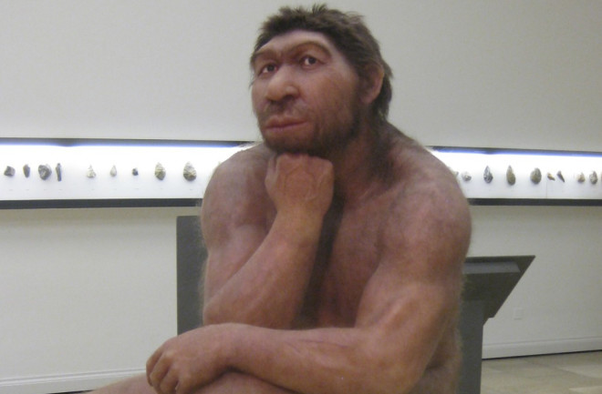 Neanderthal-in-museum