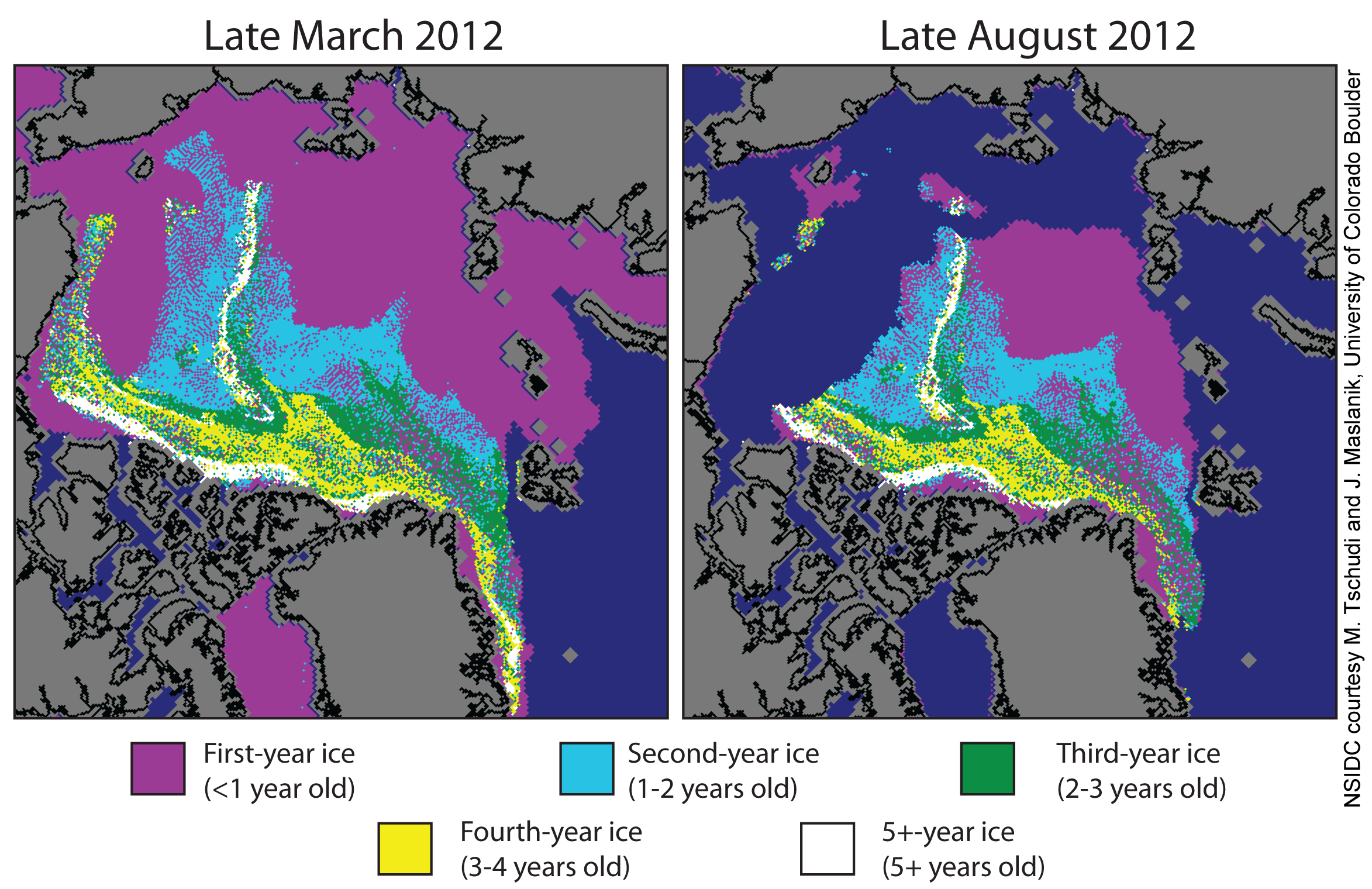 Multiyear-ice-decline.png