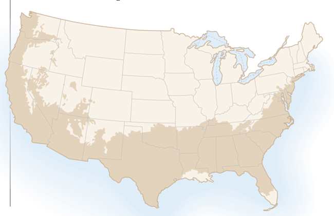 Map of Cork Trees