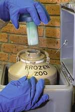works_frozenzoo.jpg