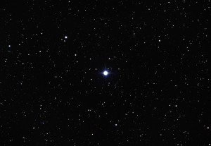 novadel2013_color_17aug2013-RGB2-300x207.jpg
