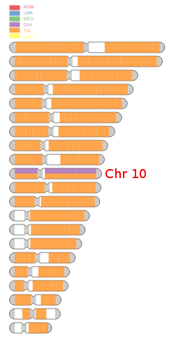 inter.png