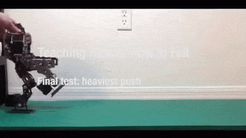 yxN337.gif