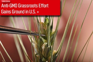 Anti-GMO Grass-Roots Effort Gains Ground in U.S.