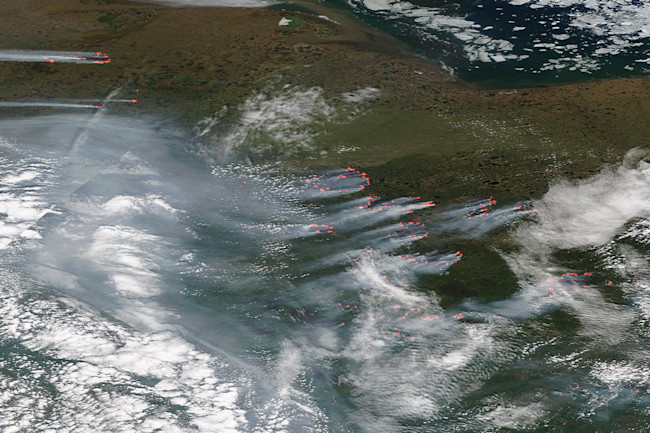 Siberian Wildfires