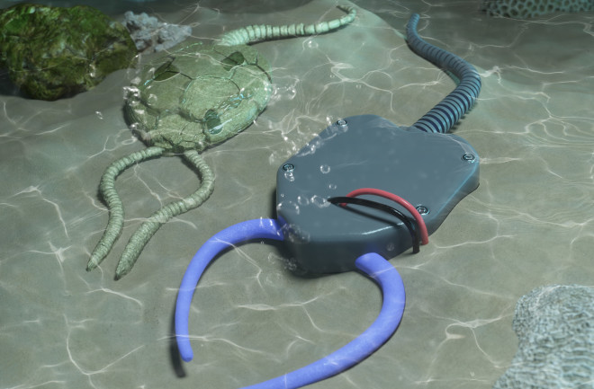 A rendering of a pleurocystitid and a robot modeled after a pleurocystitid.