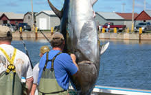 bluefin-tuna.jpg