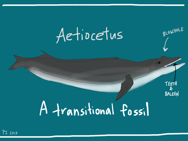 Ancient_Whale-1024x768.png