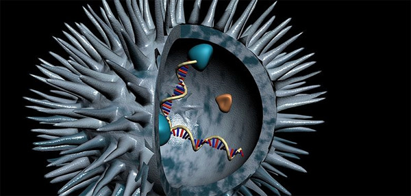 HIV_3Dmodel.jpg