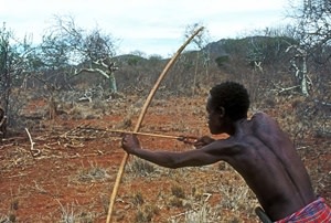 bow in arrow africa