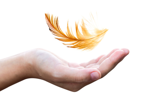 Feather Falling Physics Gravity - Shutterstock