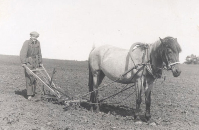 plowing-1024x703.jpg