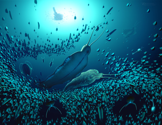 A reconstruction of the pelagic ecosystem and the organisms fossilised in Sirius Passet, revealing how Timorebestia was one of the largest predators in the water column more than 518 million years ago