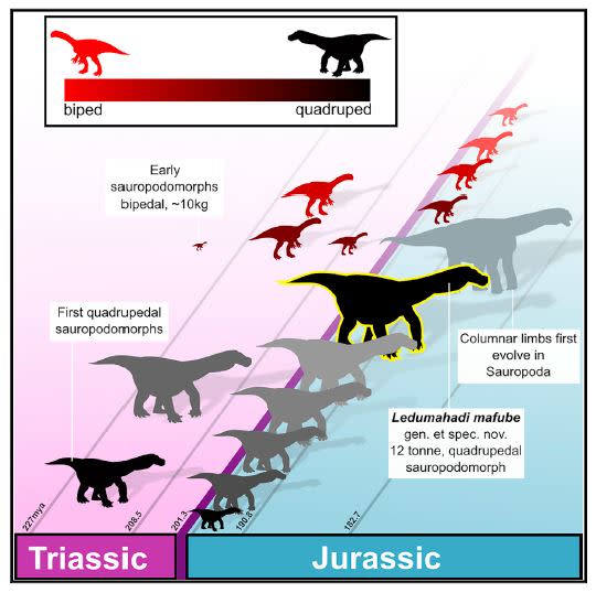 sauropods list