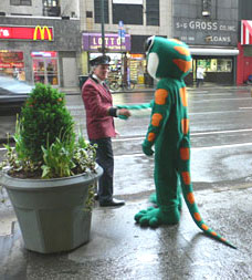 copy_of_geicogecko.jpg