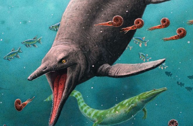 Earliest ichthyosaur