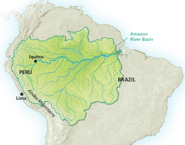 Understanding the Amazon By Digging Into the Ground Beneath It ...