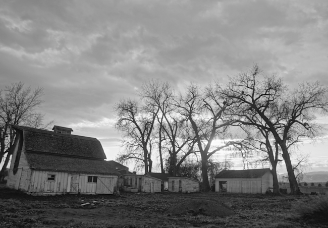 Neva-Road-1-26-14-1024x712.png