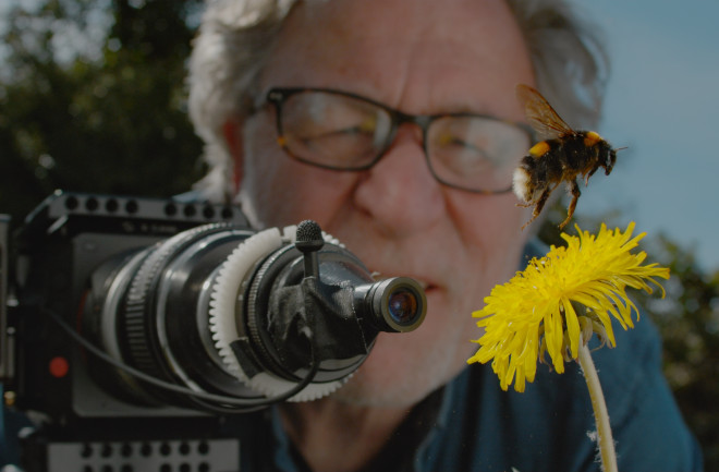 Matin Dohrn filming a bumble bee hovering over a dandelion-Credit-Martin Dohrn, Passion Planet