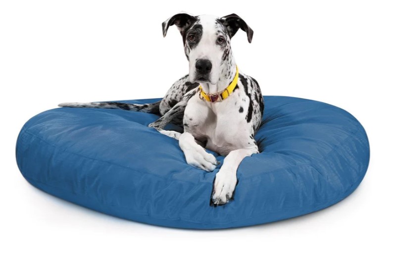 Chew Proof Dog Beds: BuddyRest World's Toughest Dog Beds
