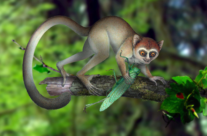 artists_reconstruction-of-early-primate.jpg