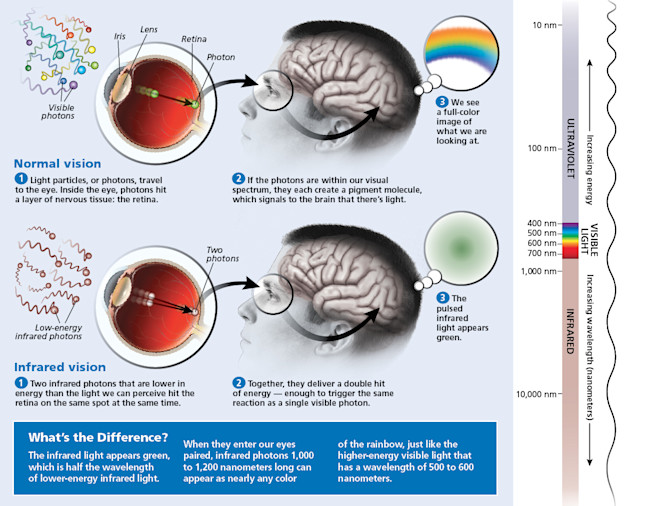 Amazingly, We Can See Infrared Light Discover Magazine