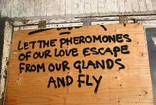 pheromones-graffiti.jpg