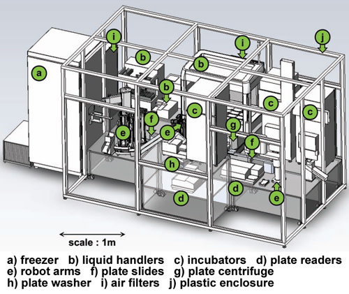 Adamschematic.jpg