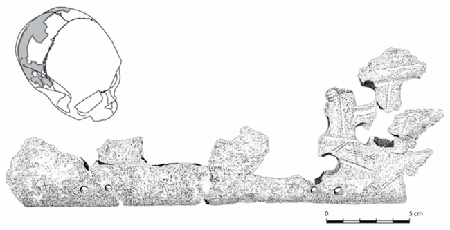 Pacbitun Skull Drawing - CCBY