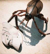 roach.gif