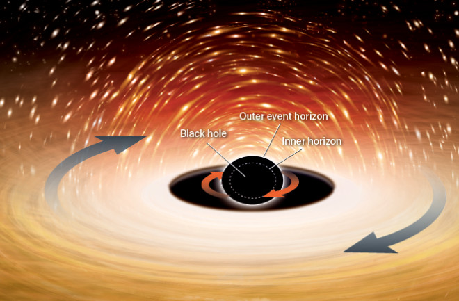 Black hole horizons