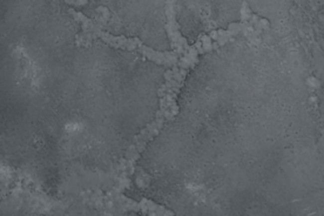 f258a-rockart.jpg
