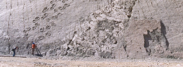 footprints.jpg