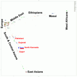 MDS_DOD307-300x300.png