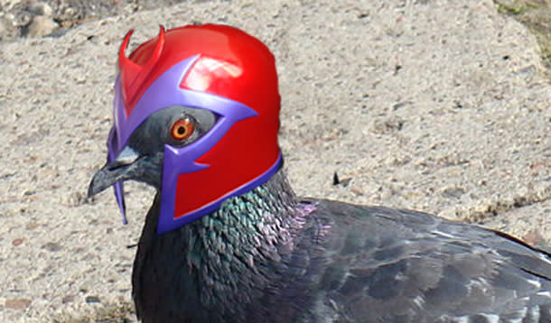Pigeoneto.jpg