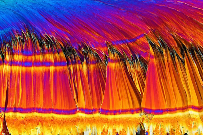 Saccharin crystals - Stefan Eberhard