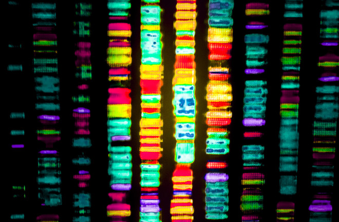 A DNA sequence. The first cell with a working artificial addition to its DNA has been created. (Credit: Gio.tto/Shutterstock)
